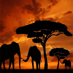 Blue Sky FM - Ambient