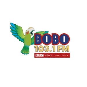 Bobo 103.1 FM