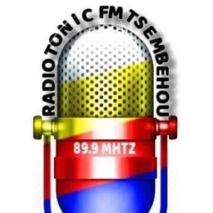 Radio Tonic FM Tsembéhou
