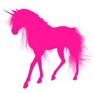 See The Sea FM - Pink Unicorn Radio