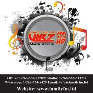 VibzFM HD